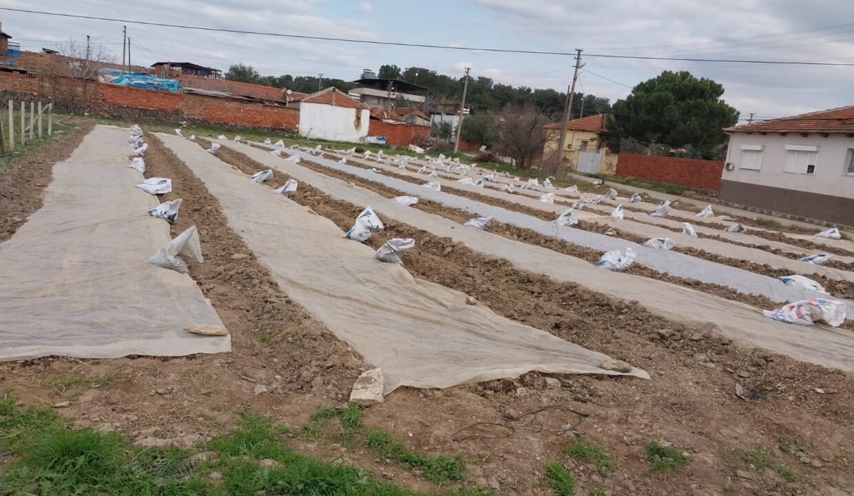 WhatsApp Image 2025-02-10 at 11.23.06