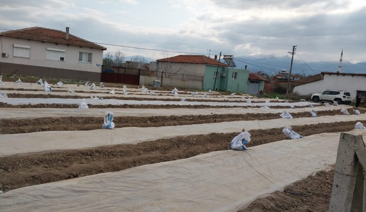 WhatsApp Image 2025-02-10 at 11.23.08