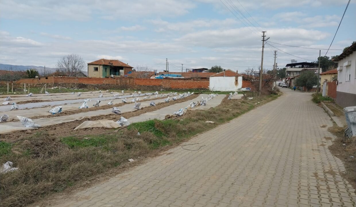 WhatsApp Image 2025-02-10 at 11.23.20