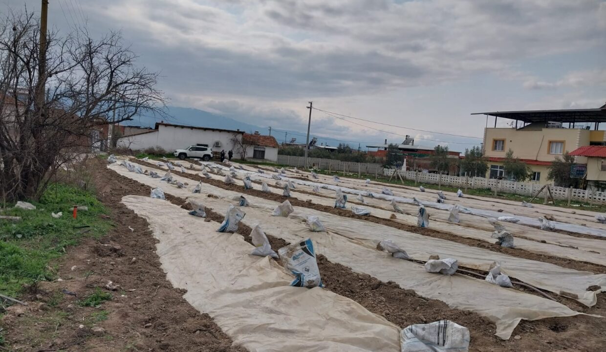 WhatsApp Image 2025-02-10 at 11.36.49