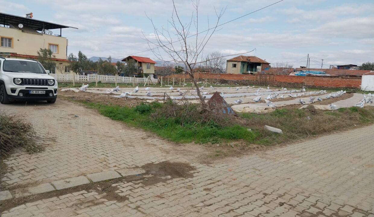 WhatsApp Image 2025-02-10 at 11.38.01