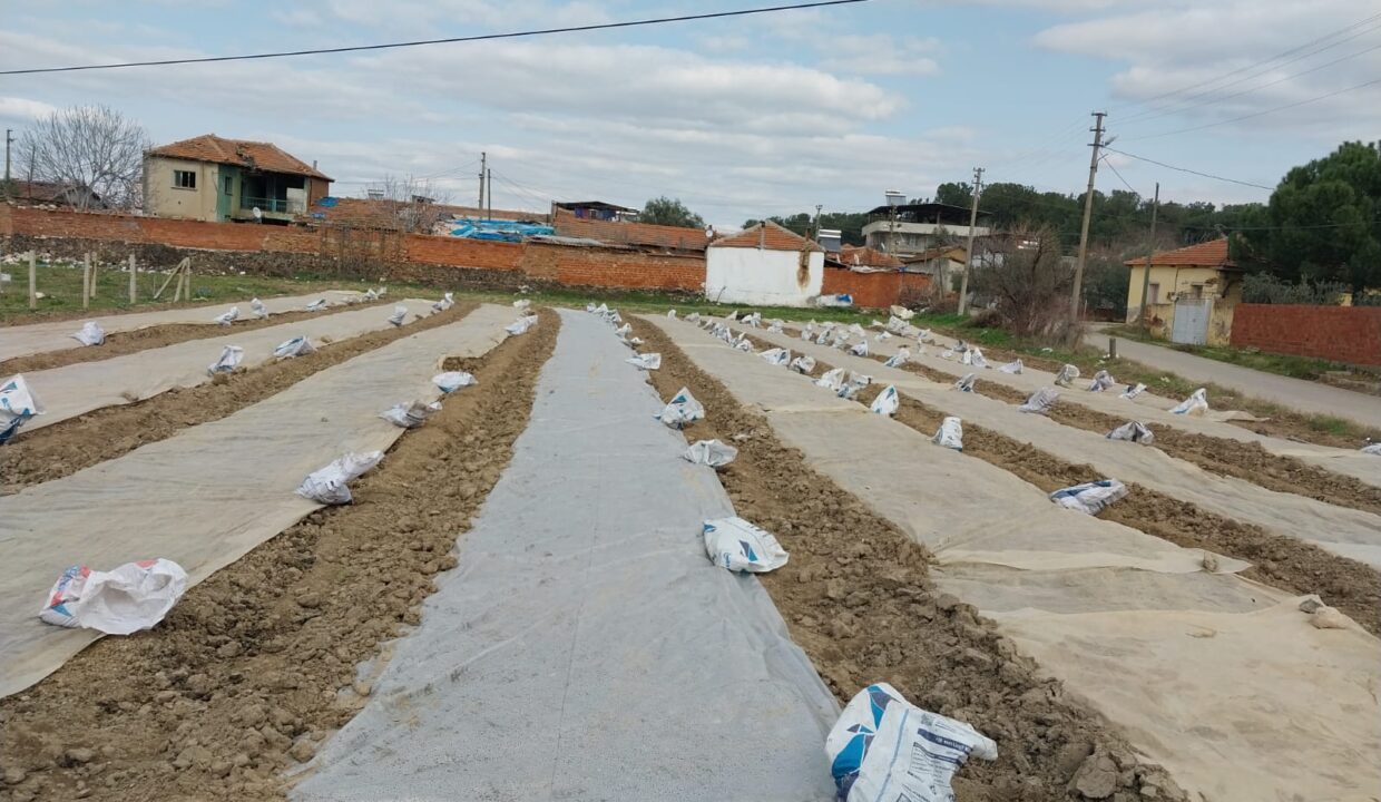 WhatsApp Image 2025-02-10 at 11.38.07