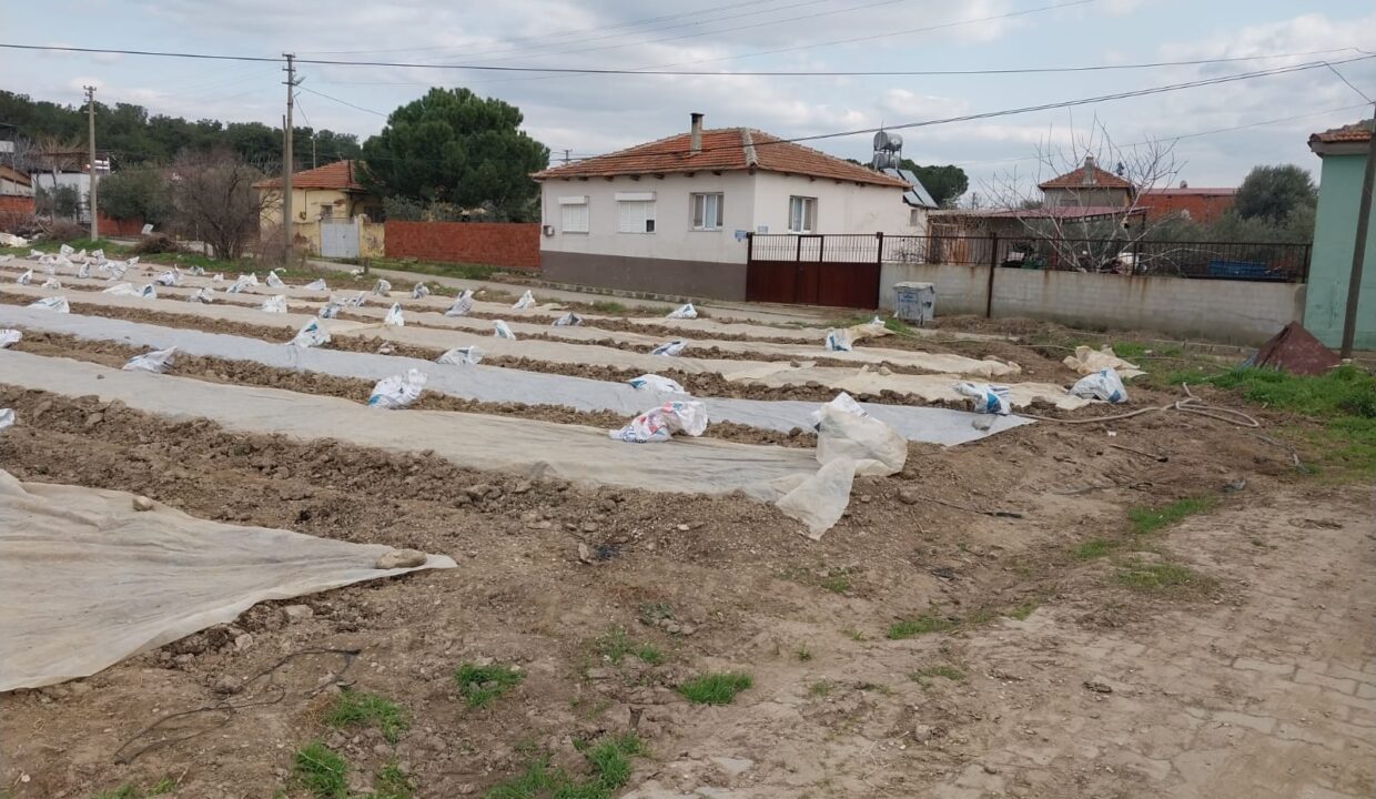 WhatsApp Image 2025-02-10 at 11.38.11