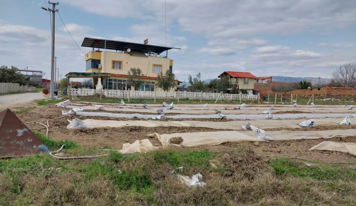 WhatsApp Image 2025-02-10 at 11.38.15