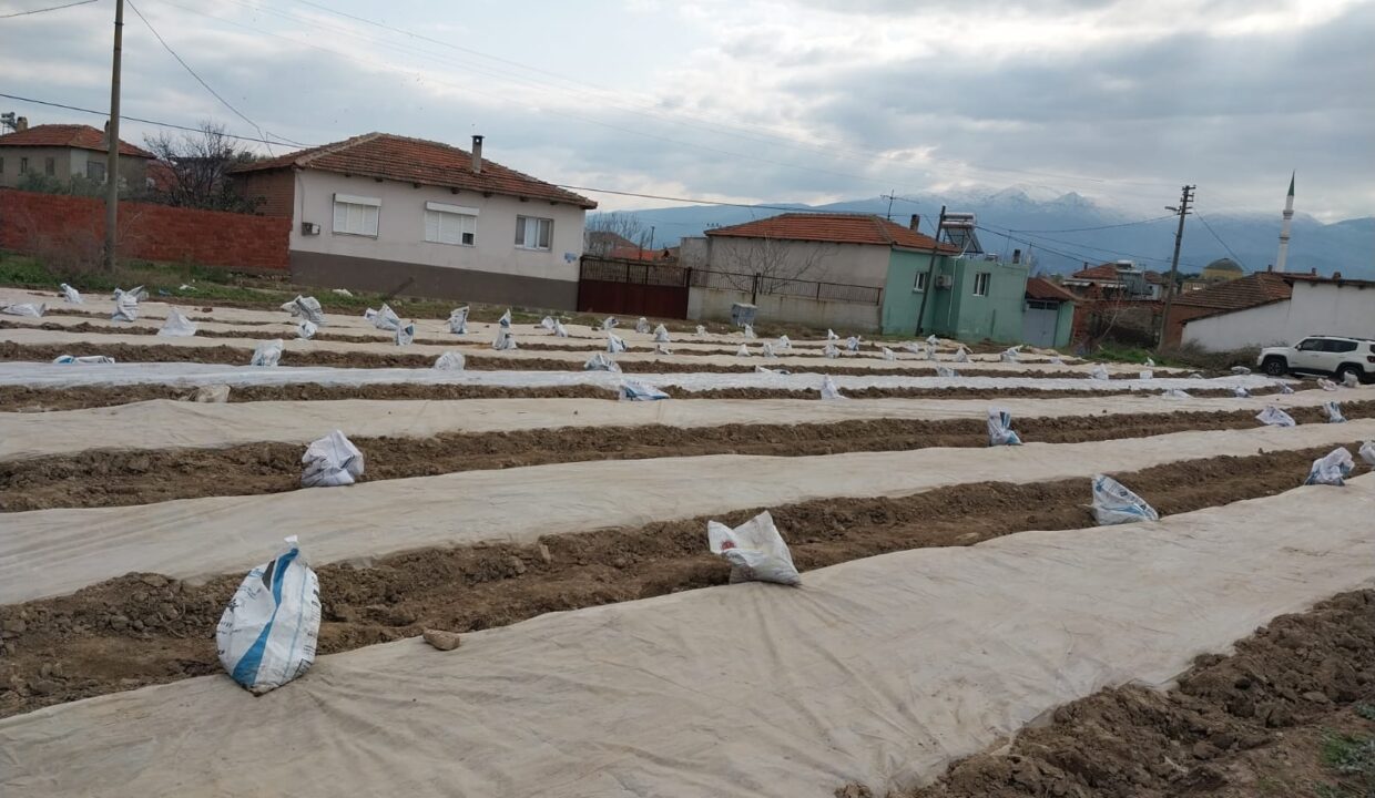 WhatsApp Image 2025-02-10 at 11.38.18