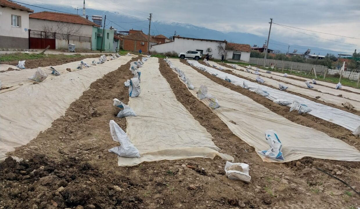 WhatsApp Image 2025-02-10 at 11.38.19