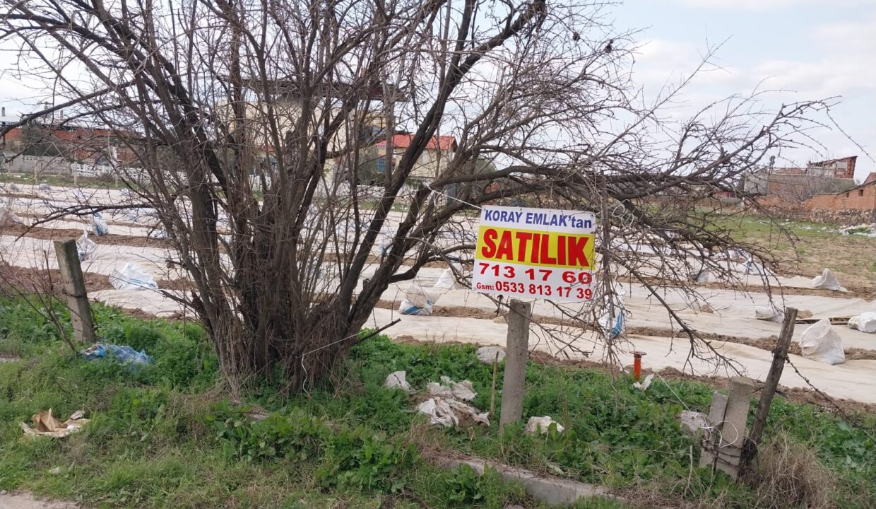 WhatsApp Image 2025-02-10 at 11.38.20