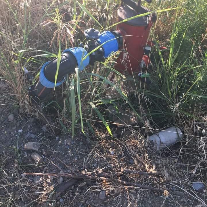 WhatsApp Image 2025-08-15 at 19.24.51