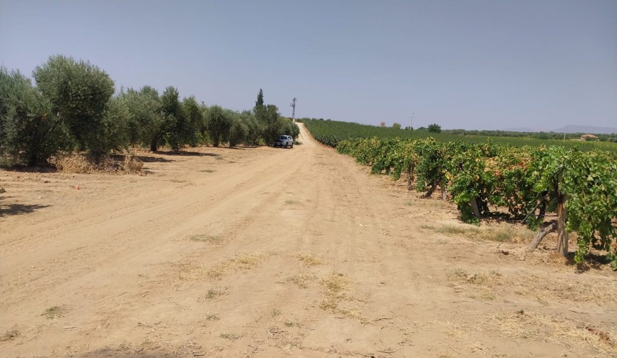 WhatsApp Image 2025-08-23 at 17.12.09