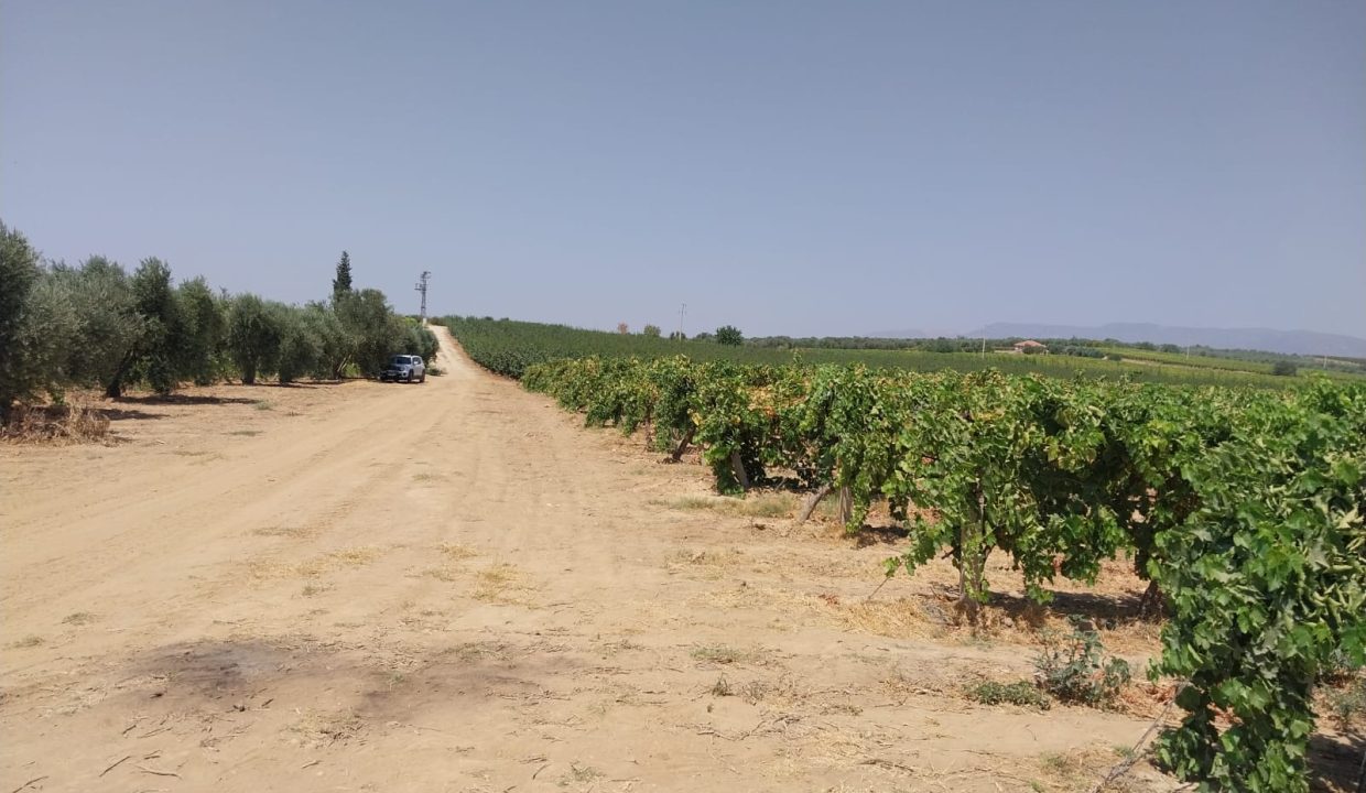 WhatsApp Image 2025-08-23 at 17.12.10