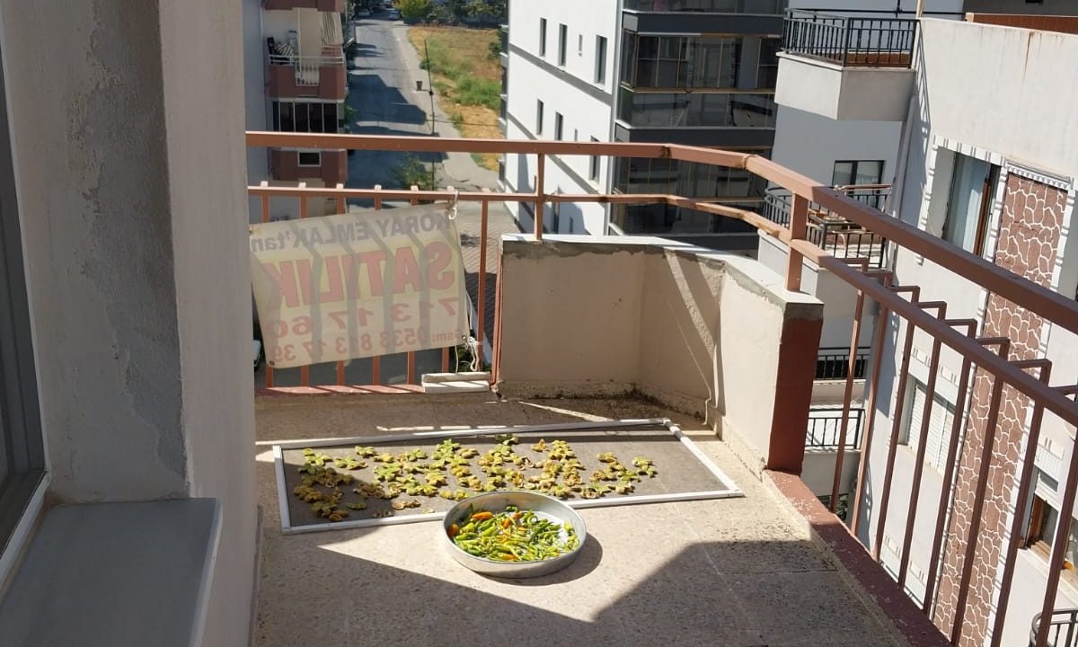 WhatsApp Image 2025-08-30 at 15.31.06 (1)