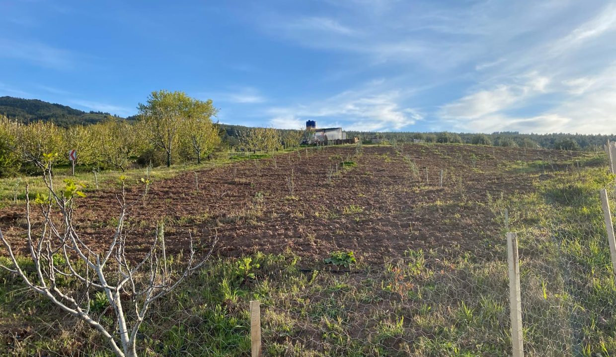 WhatsApp Image 2025-09-27 at 14.56.48 (1)