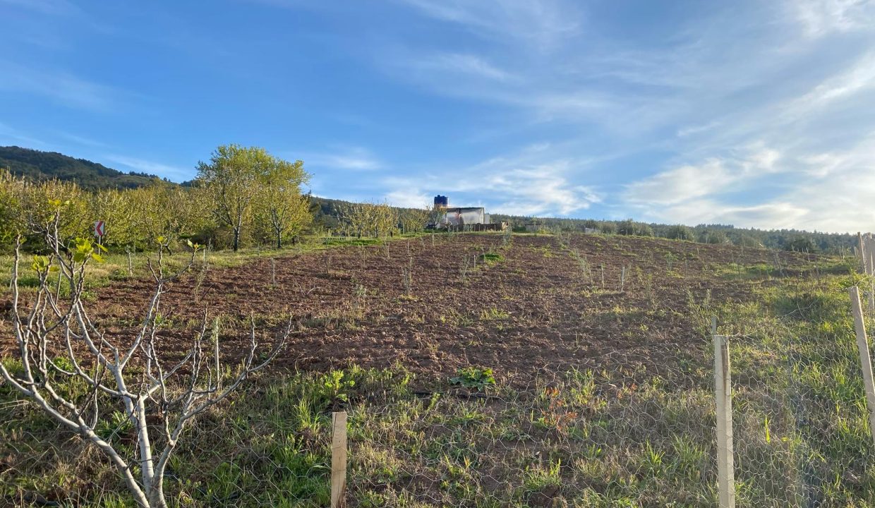 WhatsApp Image 2025-09-27 at 14.56.48