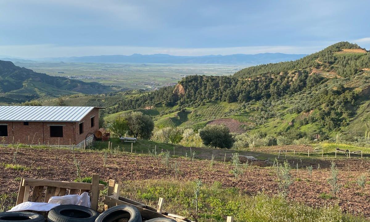 WhatsApp Image 2025-09-27 at 14.56.48 (2)