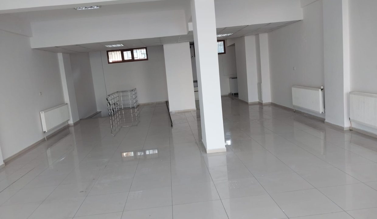 WhatsApp Image 2025-12-13 at 12.31.32 (1)