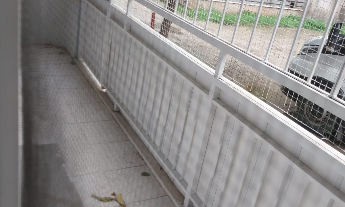 WhatsApp Image 2026-02-09 at 12.18.21 (2)