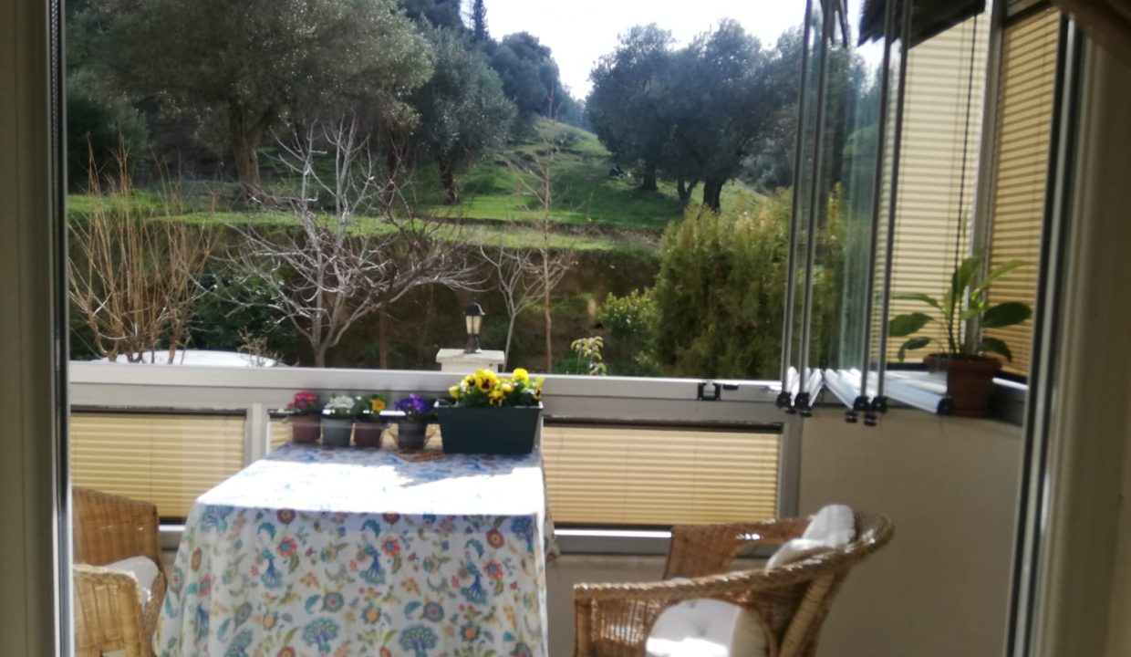 WhatsApp Image 2026-02-15 at 18.20.28