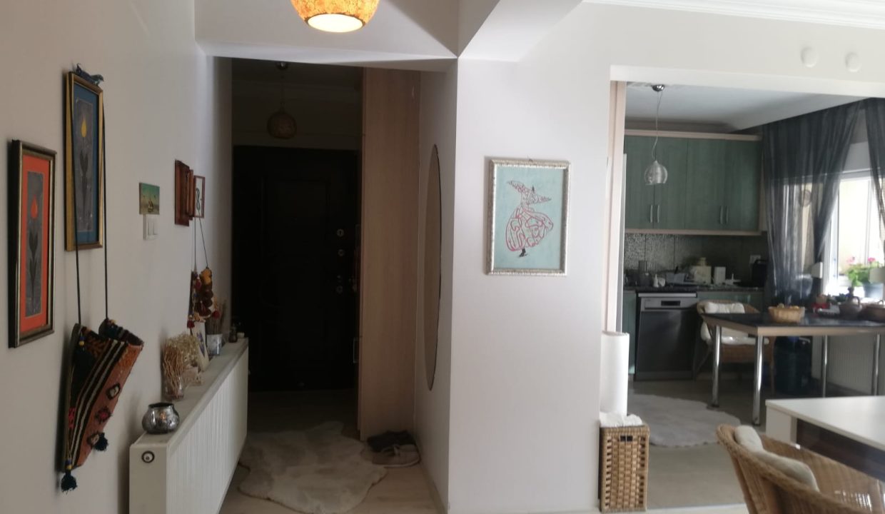 WhatsApp Image 2026-02-15 at 18.20.33