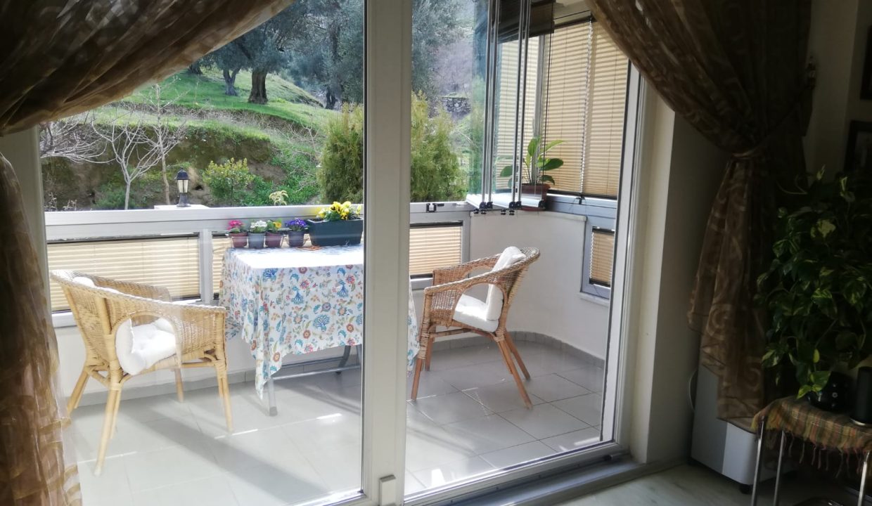 WhatsApp Image 2026-02-15 at 18.20.33 (2)