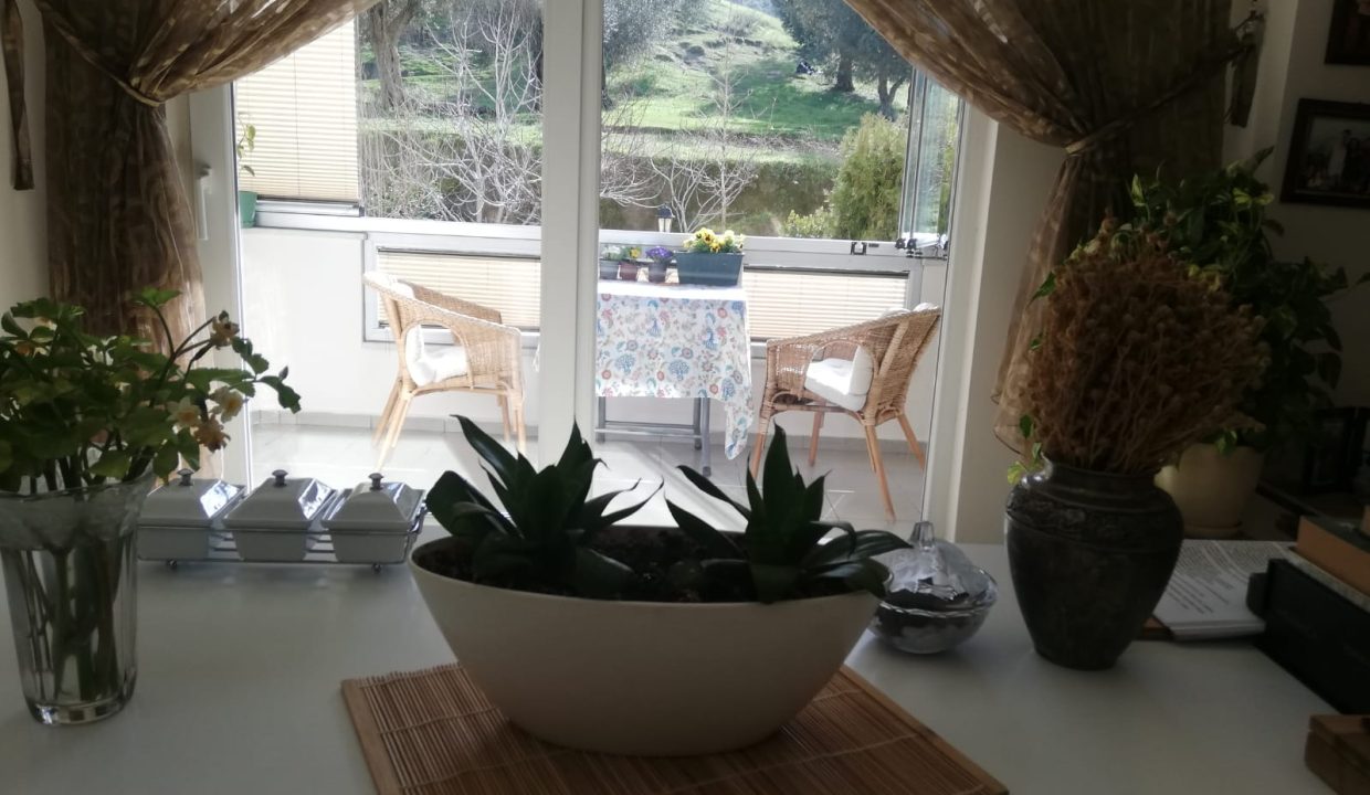 WhatsApp Image 2026-02-15 at 18.20.34 (1)