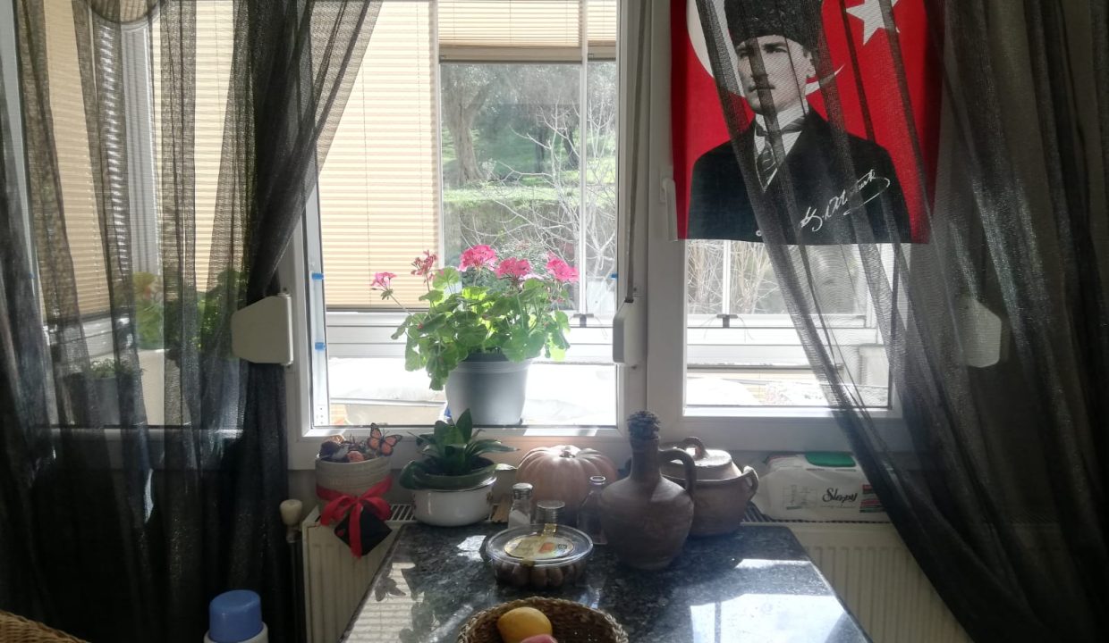 WhatsApp Image 2026-02-15 at 18.20.35 (1)