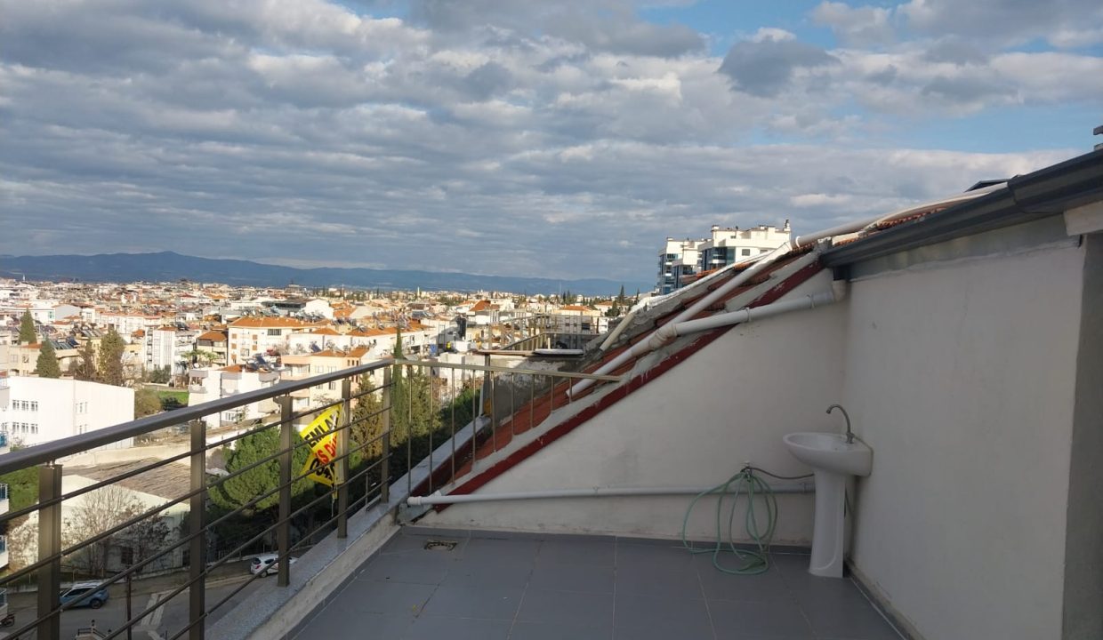 WhatsApp Image 2026-02-15 at 18.31.45 (1)