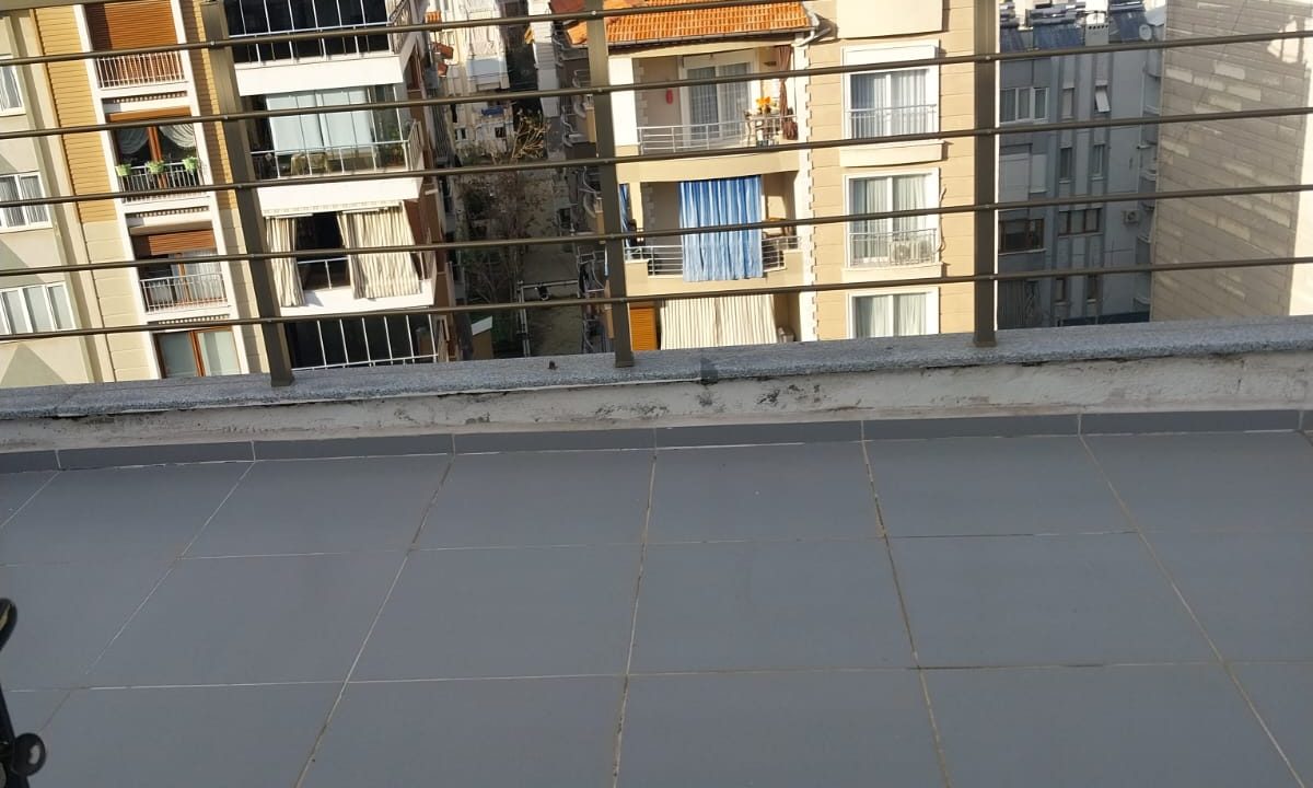 WhatsApp Image 2026-02-15 at 18.31.45