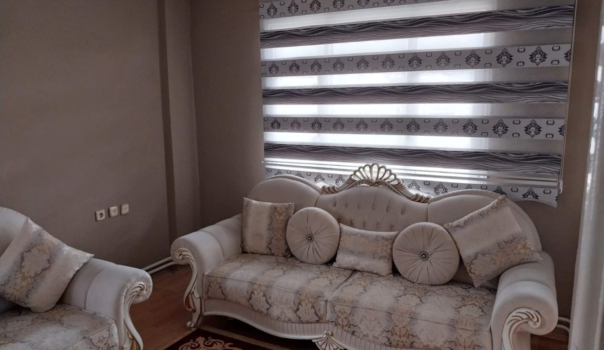 WhatsApp Image 2026-02-17 at 16.33.58