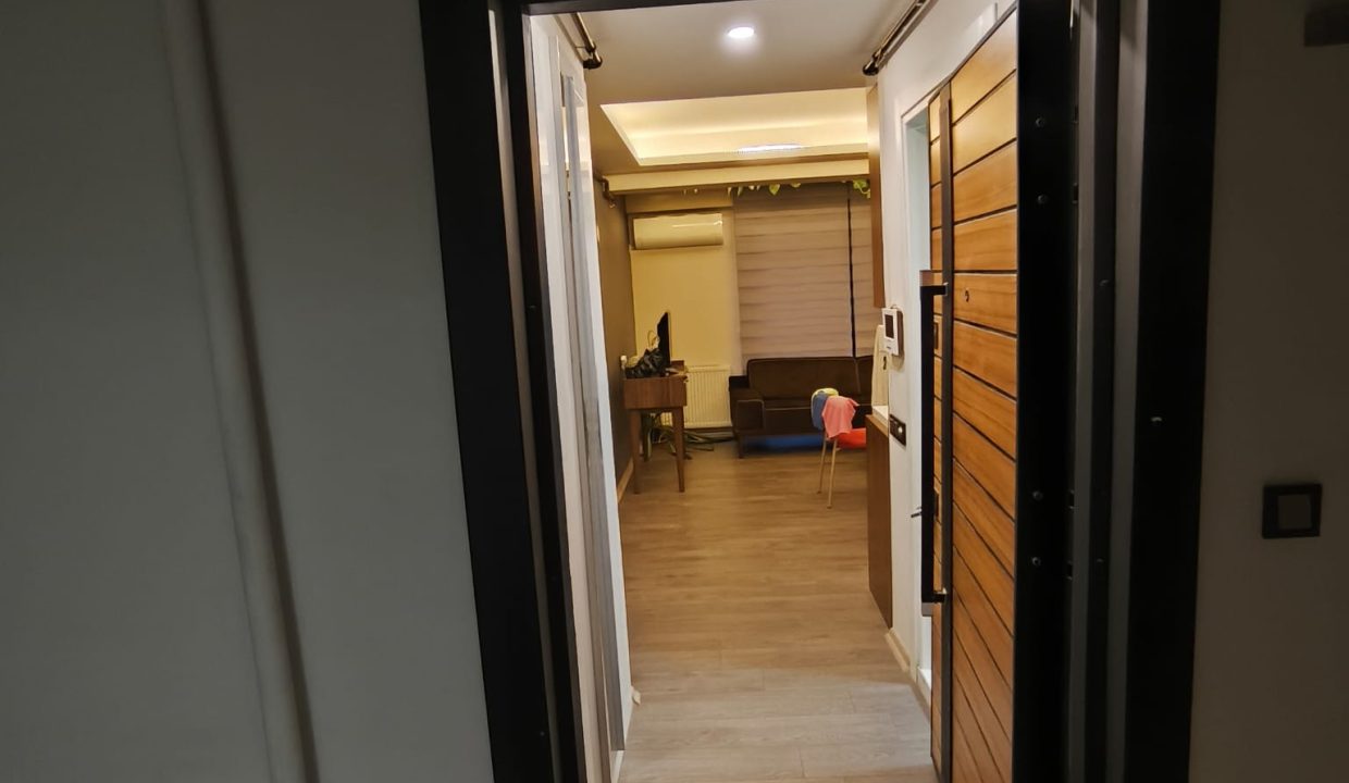 WhatsApp Image 2026-02-19 at 11.19.41