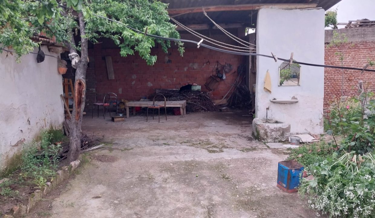 WhatsApp Image 2026-05-04 at 19.06.17 (2)