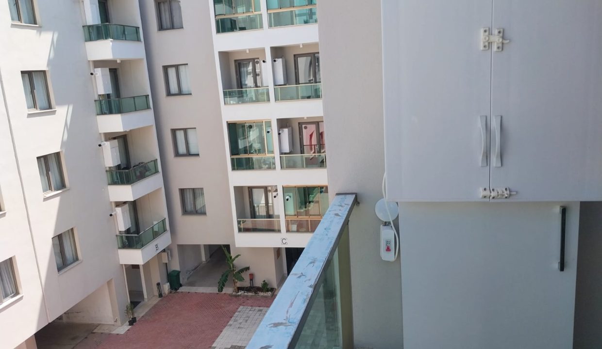 WhatsApp Image 2026-05-15 at 12.58.49